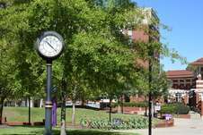 Greenville